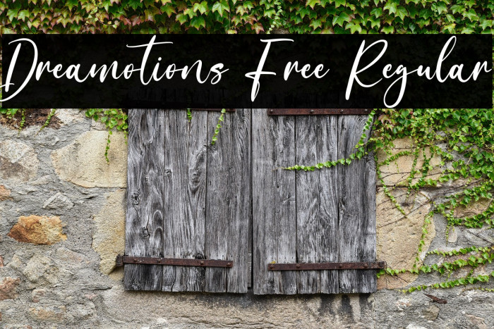 Dreamotions Free Regular Example 3