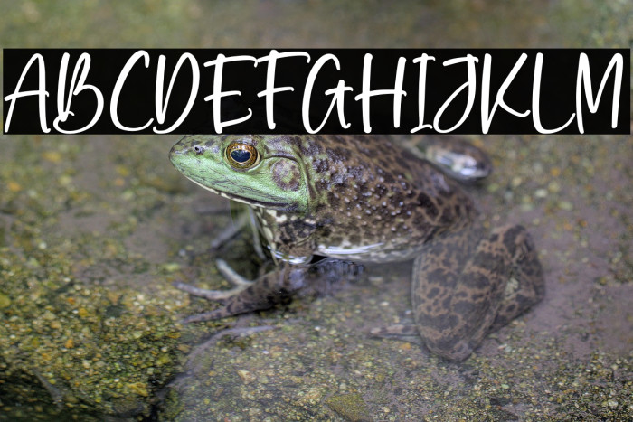 Dreams & Imagine Example 3