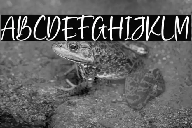 Dreams & Imagine Polices examples