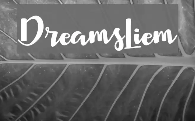 DreamsLiem Example 2
