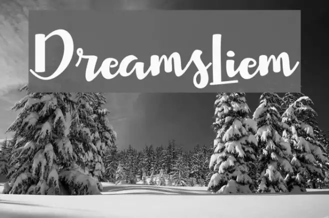 DreamsLiem Example 3