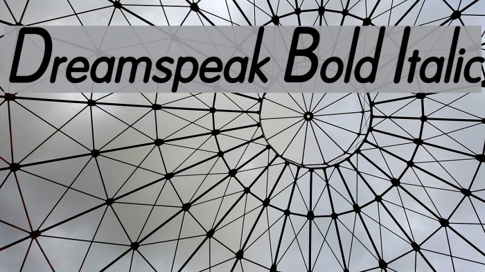 Dreamspeak Bold Italic Font examples