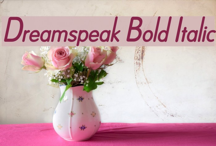 Dreamspeak Bold Italic Font examples