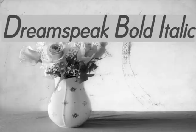 Dreamspeak Bold Italic Example 3