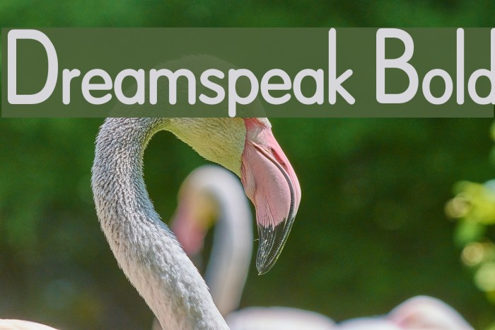 Dreamspeak Bold Font examples