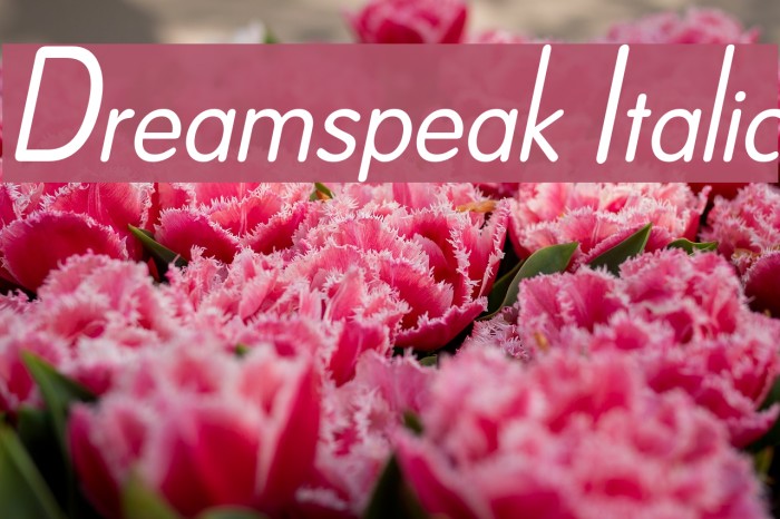Dreamspeak Italic Font examples
