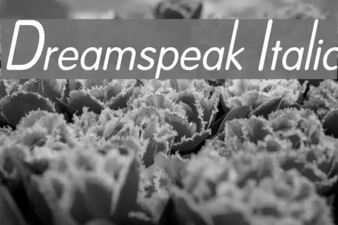 Dreamspeak Italic Fonte examples
