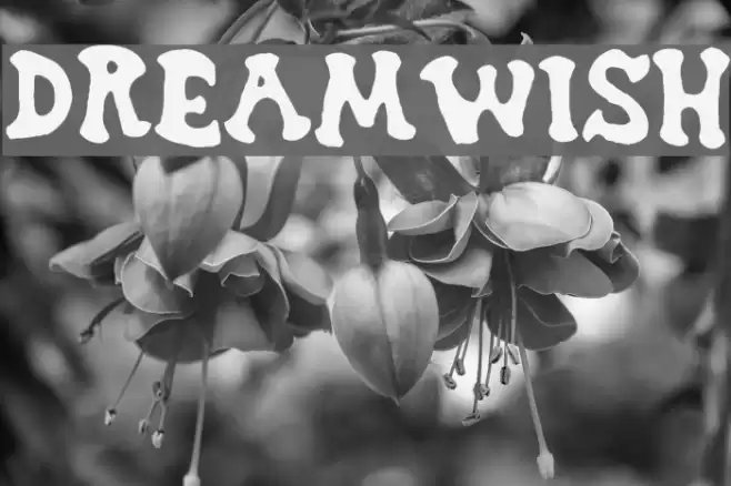 Dreamwish Font examples