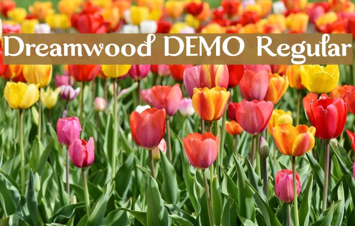 Dreamwood DEMO Regular Example 1