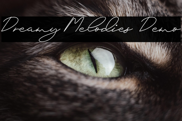 Dreamy Melodies Demo Example 1