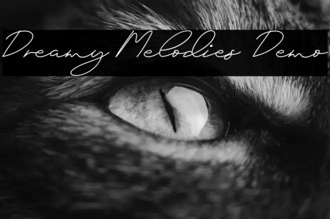 Dreamy Melodies Demo Polices examples