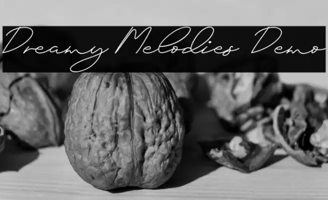 Dreamy Melodies Demo Polices examples
