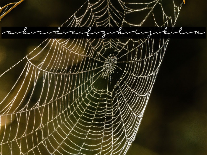 Dreamy Notes Script Example 1