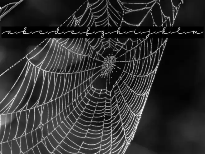 Dreamy Notes Script Font examples