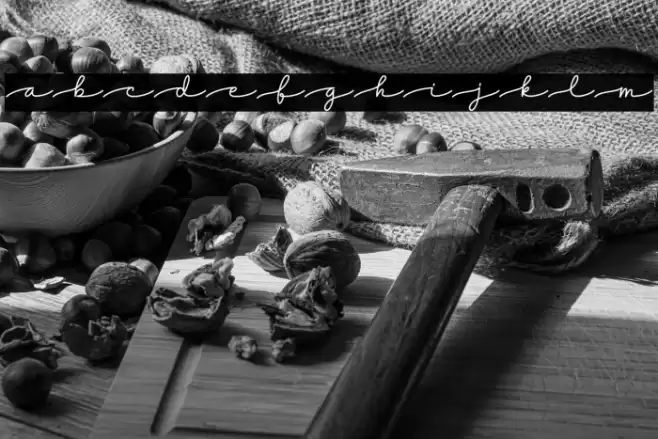 Dreamy Notes Script Font examples