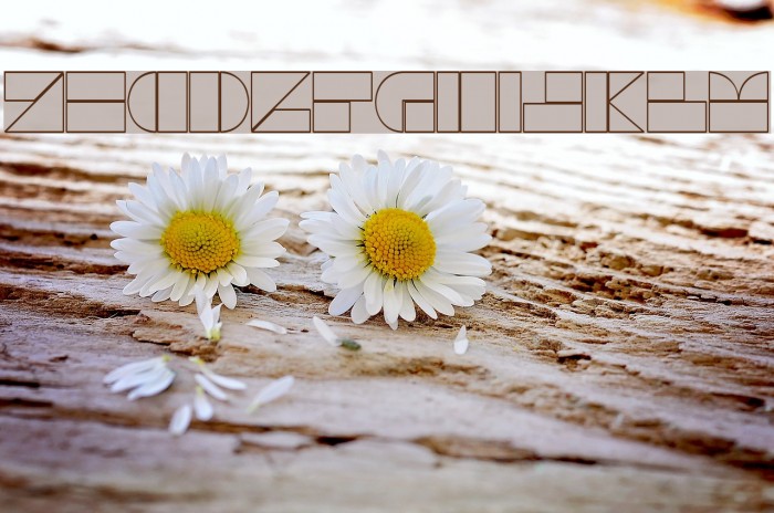 DrebiekExpandedOutline Font examples