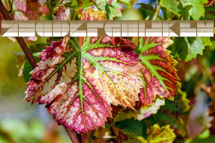 DrebiekExpandedStripes Example 2