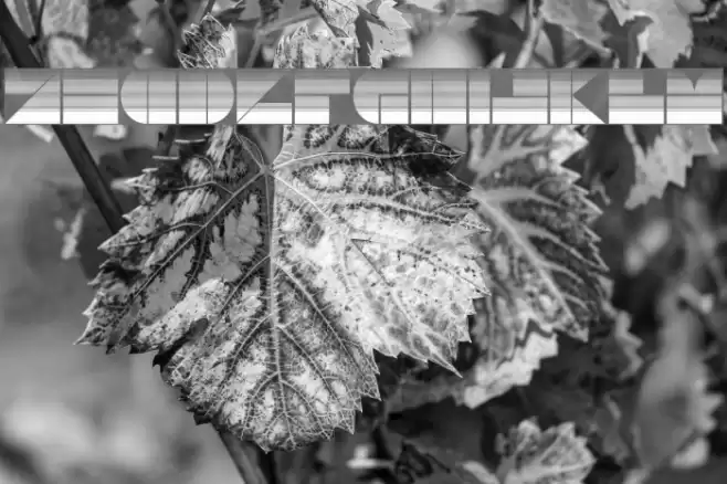 DrebiekExpandedStripes Font examples