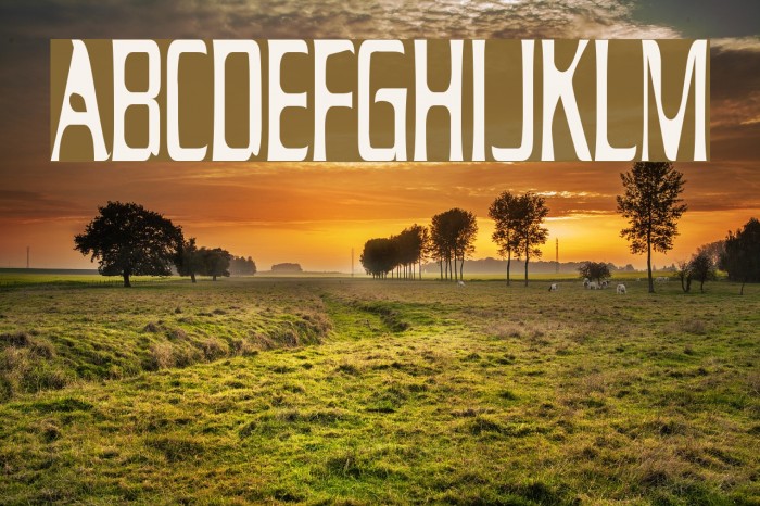 Drecknocratica Condensed Font examples