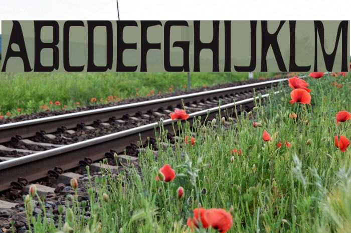 Drecknocratica Font examples