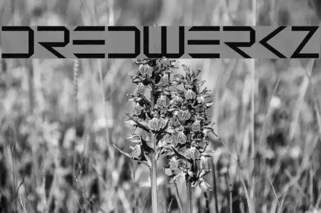Dredwerkz Font examples