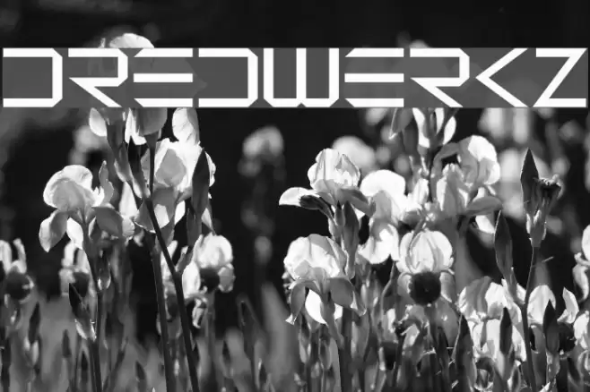 Dredwerkz Font examples