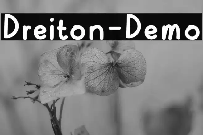 Dreiton-Demo Font examples
