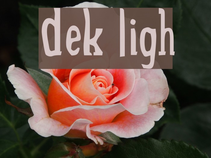 Drek Light Caratteri examples
