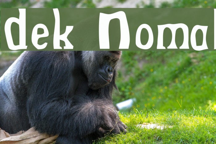 Drek Normal Polices examples