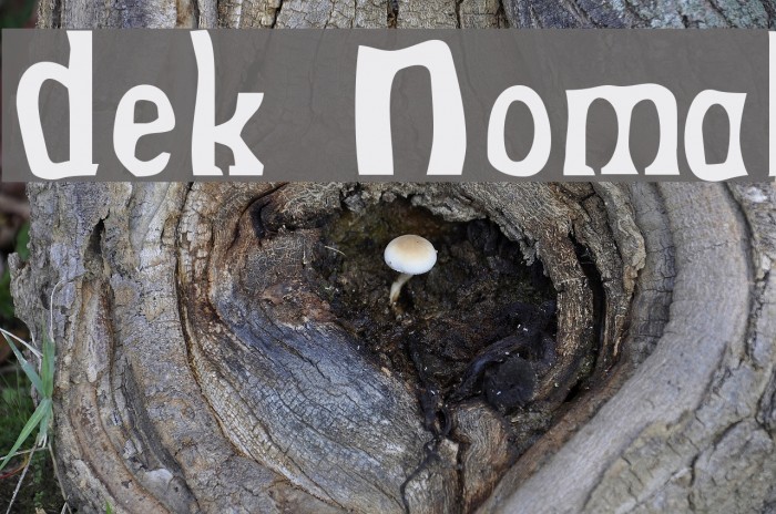 Drek Normal Polices examples