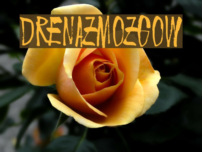 Drenazmozgow Font examples
