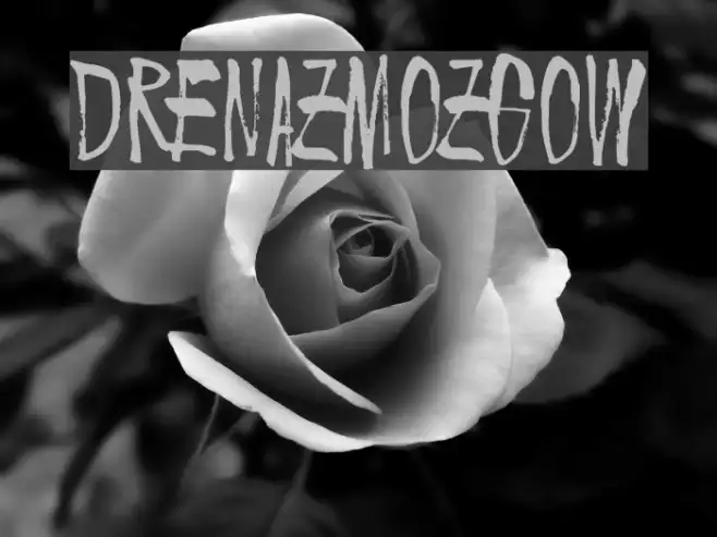 Drenazmozgow Example 1