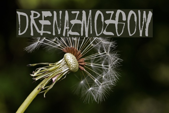 Drenazmozgow Font examples