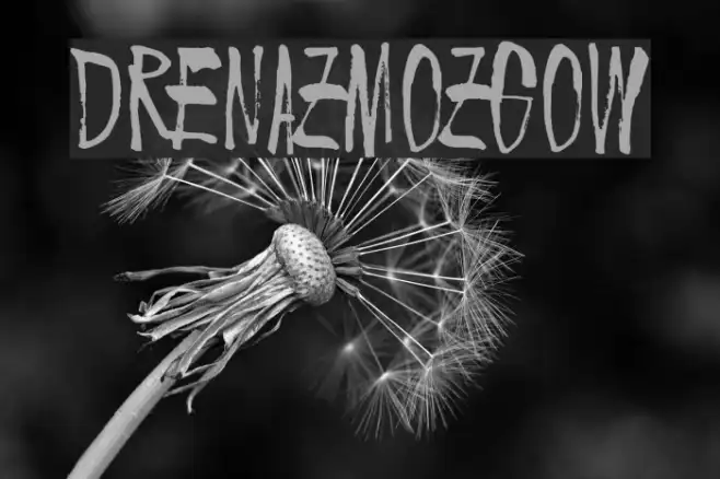 Drenazmozgow Example 2