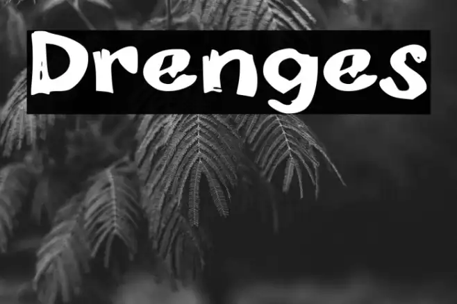 Drenges Example 1