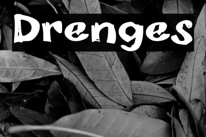 Drenges Example 3