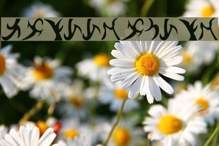 Drenn_s_Runes Font examples