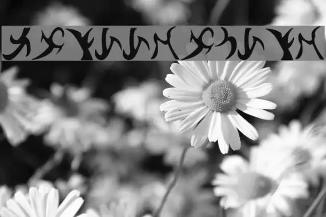 Drenn_s_Runes Example 1