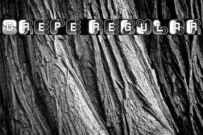 Drepe Regular Example 2