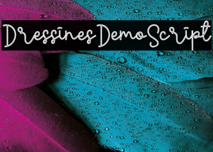 Dress Lines Demo Script Example 2