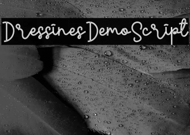 Dress Lines Demo Script Example 2