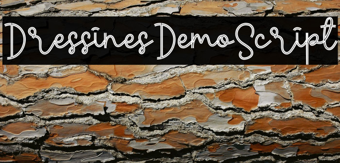 Dress Lines Demo Script Example 3