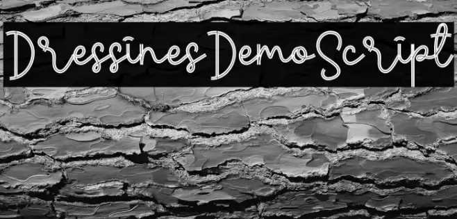 Dress Lines Demo Script Example 3