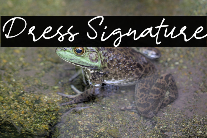 Dress Signature Example 2