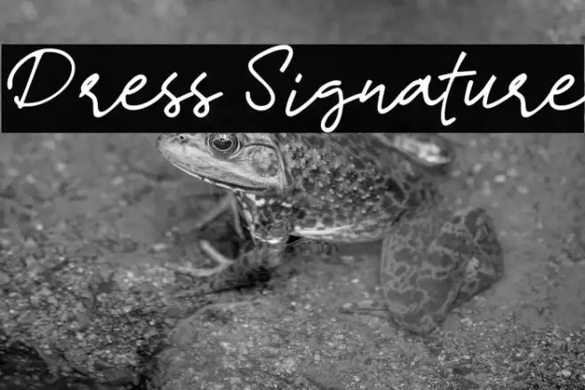 Dress Signature Example 2