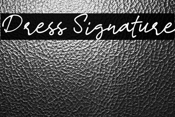 Dress Signature Example 3