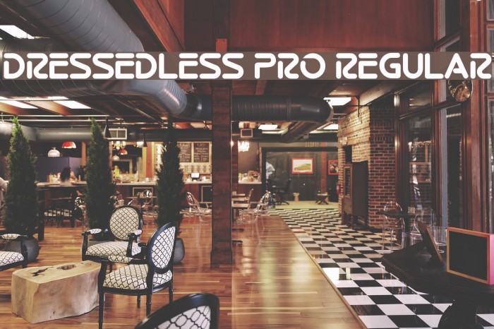 Dressedless Pro Regular Font examples