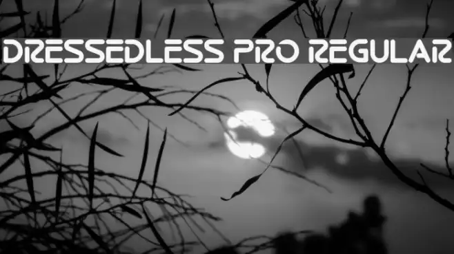 Dressedless Pro Regular Example 3