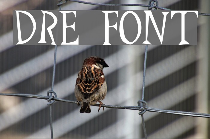 Drew Font examples