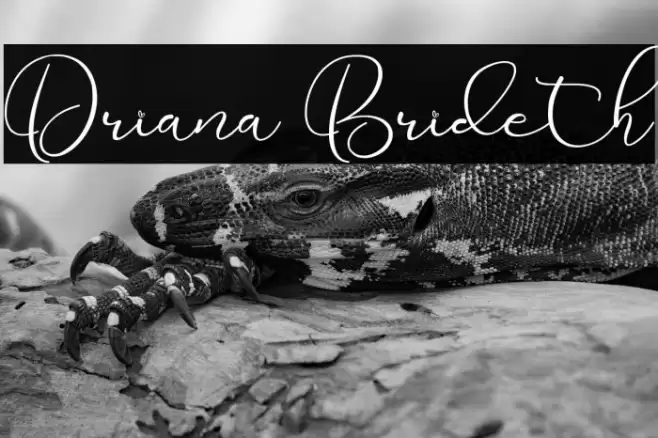 Driana Brideth Font examples
